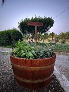 a sign in a barrel with plants in a garden at Appartamento Da Maria in Caulonia Marina