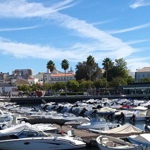 a bunch of boats are docked in a harbor at Guesthouse Milagre Centro Faro in Faro