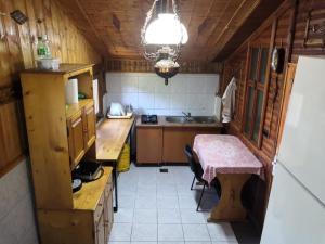 a kitchen with a table and a sink and a room at Cabana Taul Brazilor in Roşia Montană