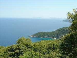 a view of a body of water with trees at Villa Georgie in Tsagarada