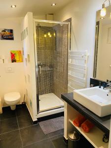 een badkamer met een douche, een wastafel en een toilet bij Studio Tudo Bem in Villeneuve-lès-Avignon