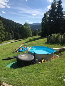 a large pool in a field with two large tires at Horská chata Jonáš in Dolní Malá Úpa