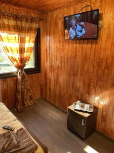 uma sala de estar com uma televisão numa parede de madeira em Casa Alex Alunisu em Alunişu