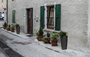 Residenza Cotruta Spiazzo في سبياتزو: صف من النباتات الفخارية على جانب المبنى