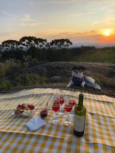 a picnic with wine glasses and a dog sitting on a blanket at Pousada Ilhas Do Sol in Senador Amaral