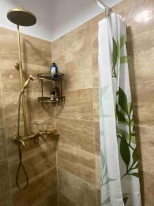 y baño con ducha y cortina de ducha. en Kiskovász Pajta & Inn, en Nagytevel