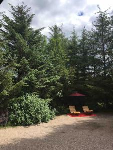 a couple of benches sitting next to some trees at Cabin with Hot Tub in Aberdeenshire in Gamrie