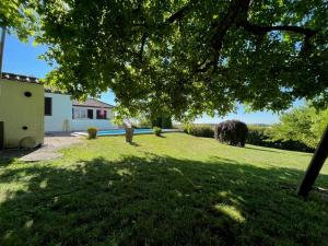 a yard with a large tree and a house at Traumhaftes Poolhaus am idyllischen Ortsrand in Blaubeuren