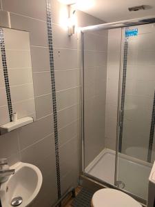 La salle de bains est pourvue d'une douche, d'un lavabo et de toilettes. dans l'établissement Appartements Victor et Hugo, à Bordeaux
