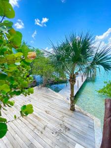a wooden boardwalk with a palm tree on the water at Villas Mandarina Bacalar in Bacalar +59 photos