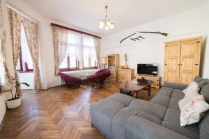 TV a/nebo společenská místnost v ubytování Apartmán Gabrielova
