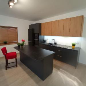 une cuisine avec un comptoir noir et une chaise rouge dans l'établissement domek u fiedora, à Pieniążkowice