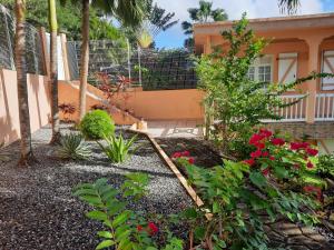 A garden outside Oiseau de Paradis