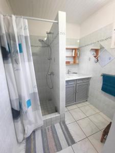 A bathroom at Oiseau de Paradis