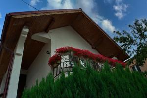 Gallery image of Casa Ade in Ocna Şugatag