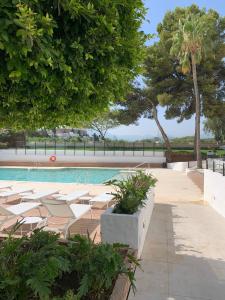 una piscina con sillas y árboles en el fondo en New & Beautiful Loft in Puerto Banus, en Marbella