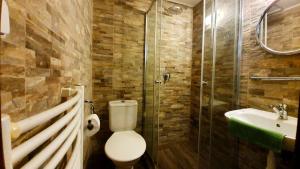 Kúpeľňa v ubytovaní Horský hotel Kolínská bouda