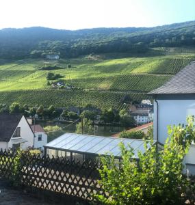 a view of a vineyard from a house at Ferienwohnung Mosel in Piesport