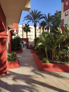 een binnenplaats met palmbomen en een gebouw bij Precioso Atico a pie de playa con piscina. in Motril