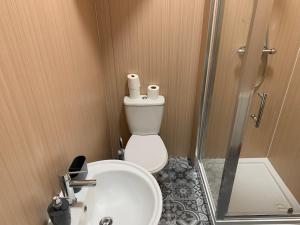 a bathroom with a toilet and a sink and a shower at Nelson st (VIEWPARK) in Largs