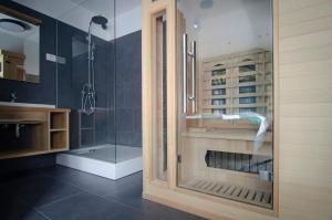 a bathroom with a shower and a glass door at Apartments with SAUNAS - Gobi in Podčetrtek