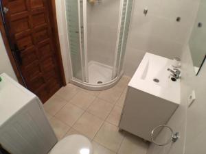 uma casa de banho com um chuveiro, um lavatório e um WC. em Garden Apartment, La Noria em Málaga
