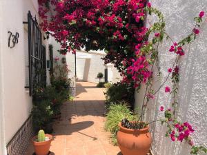 uma passarela com flores cor-de-rosa pendurada num edifício em Garden Apartment, La Noria em Málaga