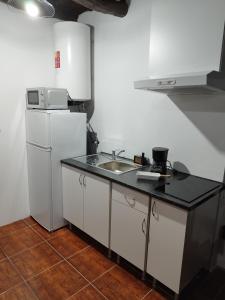 una pequeña cocina con fregadero y nevera. en MAGMA RRAL3529, en Velas