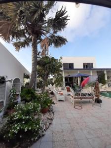 un patio con una palmera y una piscina en Palmita Hotel Hostel, en Oranjestad