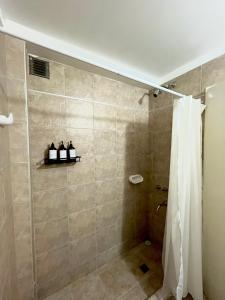 a bathroom with a shower with three bottles on a shelf at Patagonia Suites Plaza in Neuquén
