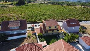 an aerial view of a house with a vineyard at Casa De Ferias Santos in Aguiar da Beira