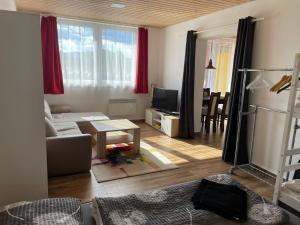 Televízia a/alebo spoločenská miestnosť v ubytovaní Apartmán 7