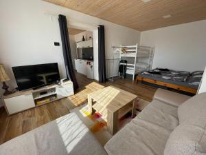 Televízia a/alebo spoločenská miestnosť v ubytovaní Apartmán 7