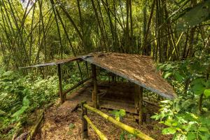 a wooden structure in the middle of a forest at Alojamiento Rural Finca El Rubi- Eje cafetero in Quimbaya