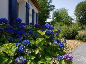 Vonkajšia záhrada v ubytovaní Villa in Les Forges with Golf & Pool Access