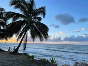 a palm tree on a beach with the ocean at VILLA SEA BEACH in Aguada