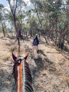 a couple of people riding a horse in the woods at Hickey Vale Farm Lodge Pet Friendly in Broadford