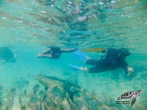 un grupo de personas nadando en el agua con peces en Annas Bed and Breakfast, en St Lucia