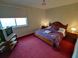 1 dormitorio con 1 cama y TV de pantalla plana en Se arrienda cómoda casa por día, en Punta Arenas