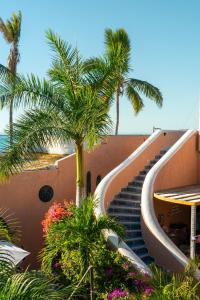 een trap naar een gebouw met palmbomen en bloemen bij Casa Kootenay Waterfront Bnb in La Paz