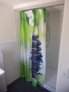 a shower with a shower curtain in a bathroom at Lamm - Wohnung 4 in Spiegelberg