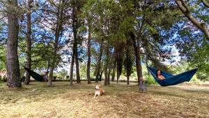 a man and a dog laying in hammocks in a park at Holiday Home Jaga in Biograd na Moru