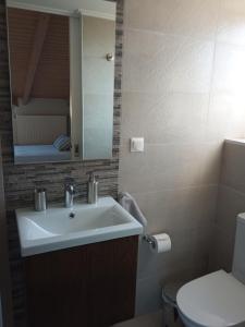 La salle de bains est pourvue d'un lavabo, de toilettes et d'un miroir. dans l'établissement Loft, à Kourouta