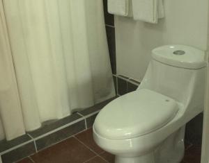 a bathroom with a white toilet and a shower at Sol Pacifico Lodge in Cascajal +18 photos