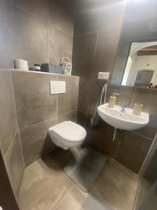 a bathroom with a toilet and a sink at Apartmány Vila Lucia 1 in Pilsen