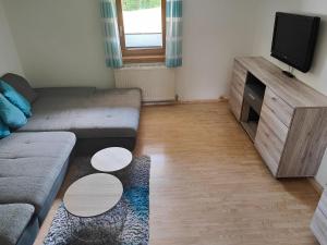 ein Wohnzimmer mit einem Sofa und einem Flachbild-TV in der Unterkunft Apartment in Niedernsill with Private Terrace in Niedernsill