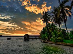 a sunset over a body of water with palm trees at Poetry Garden Bocas Town Colon Island- Deluxe Bungalow Cabin-AC-Enjoy the Night Life in Bocas del Toro