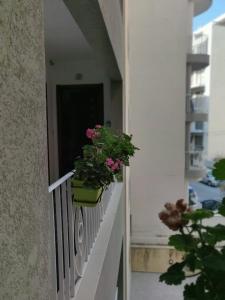 un balcón con una maceta sobre una barandilla en Qawra Apartment, en St Paul's Bay