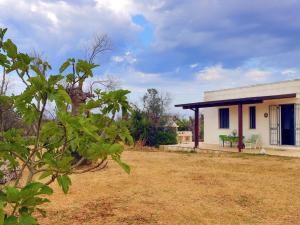 Zahrada ubytování Casa Barzò - surrounded by olive trees