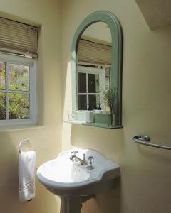 a bathroom with a sink and a mirror at Porcupine Hills Olive and Guest Farm in Botrivier